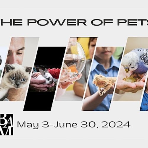 The Power Of Pets